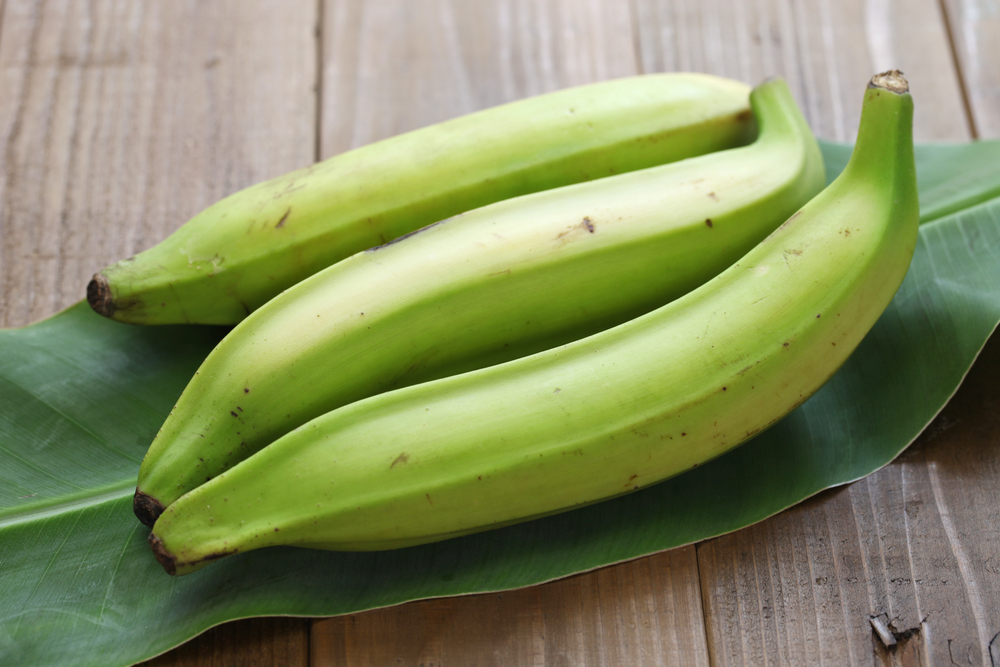 Mehl- oder Kochbanane