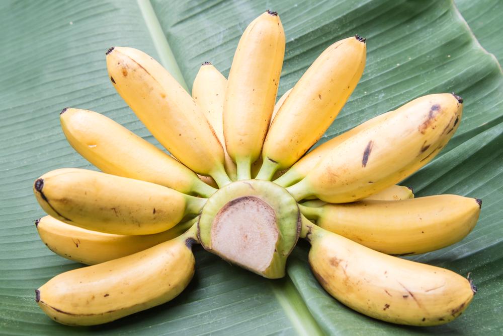 Babybanane