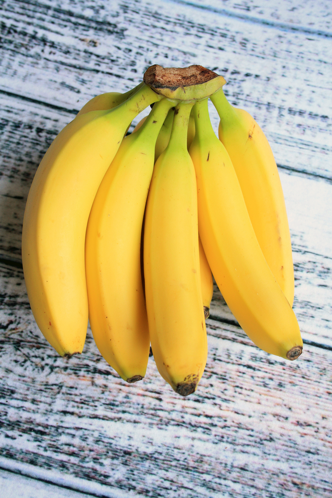 Bananenbund