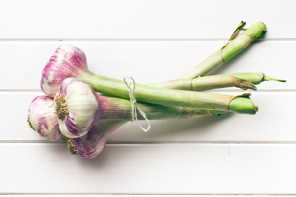 Frischer Knoblauch