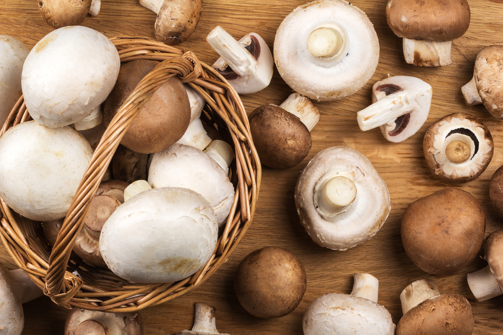 Champignons