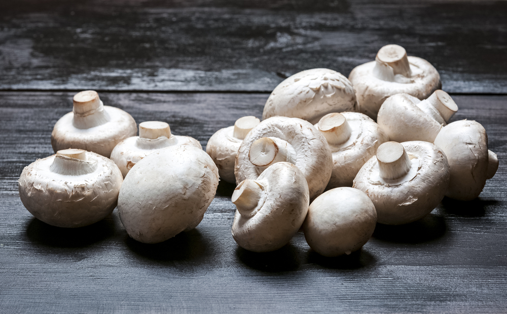 weiße Champignons
