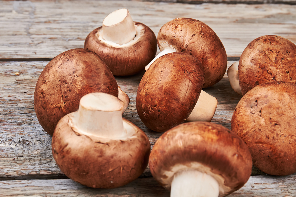 Braune Champignons